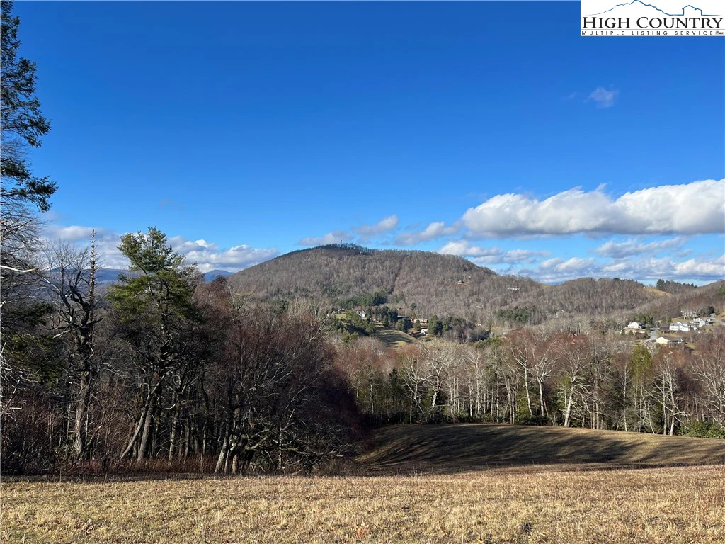 Image number 1 for the current listing