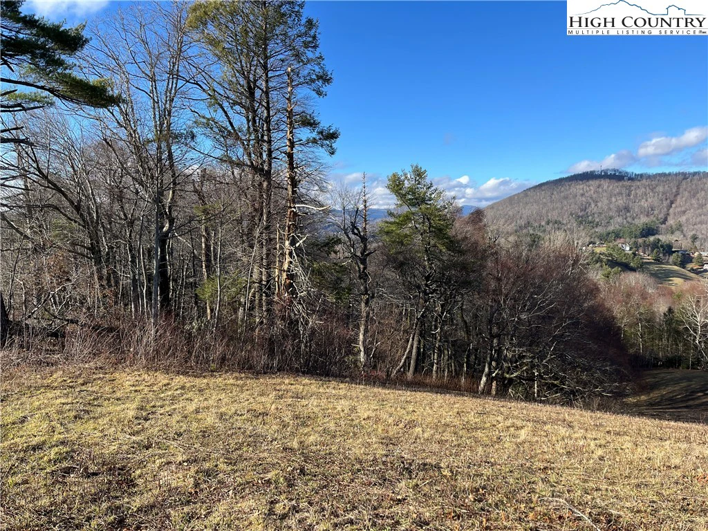 Image number 8 for the current listing