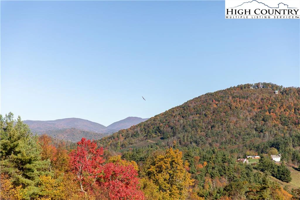 Image number 5 for the current listing