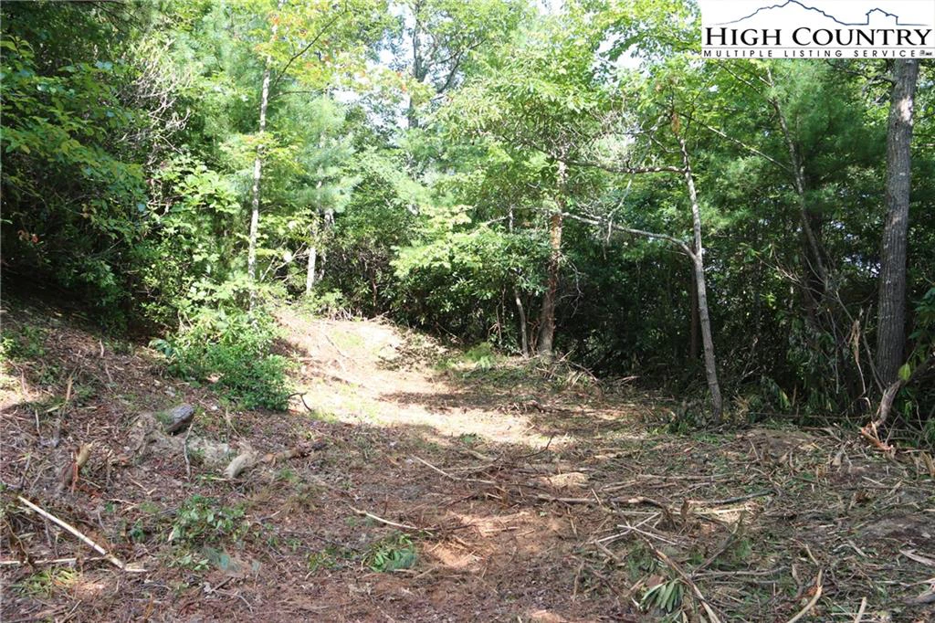 Image number 11 for the current listing