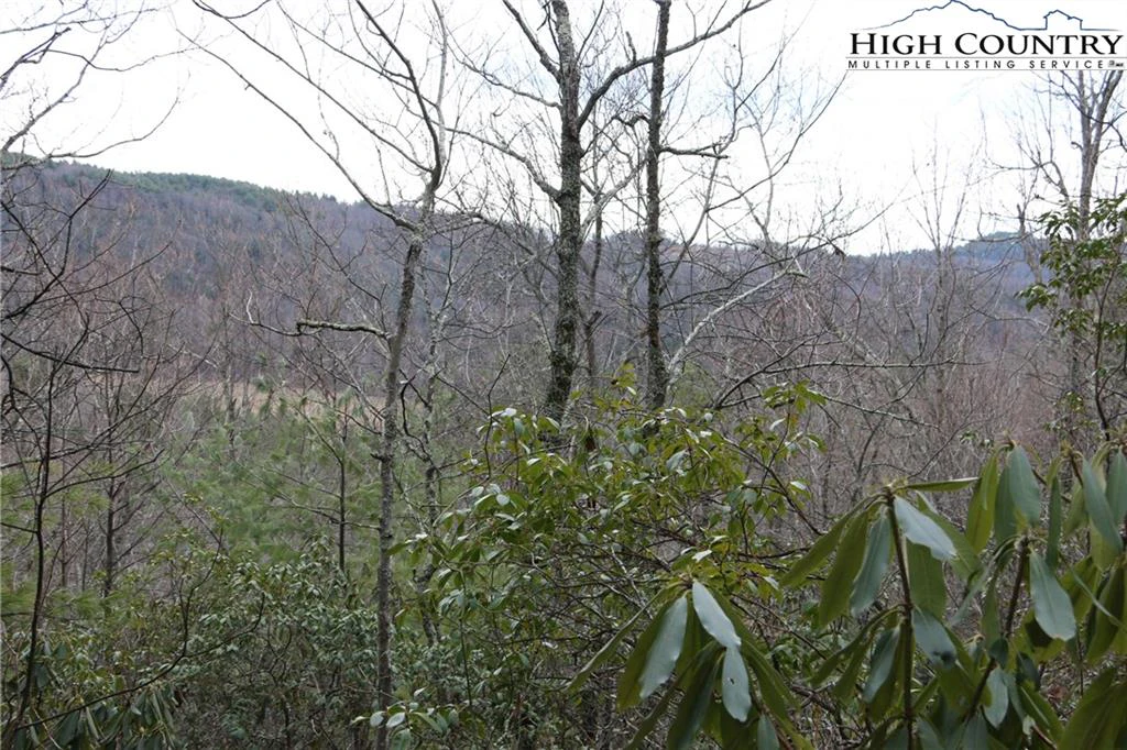 Image number 13 for the current listing