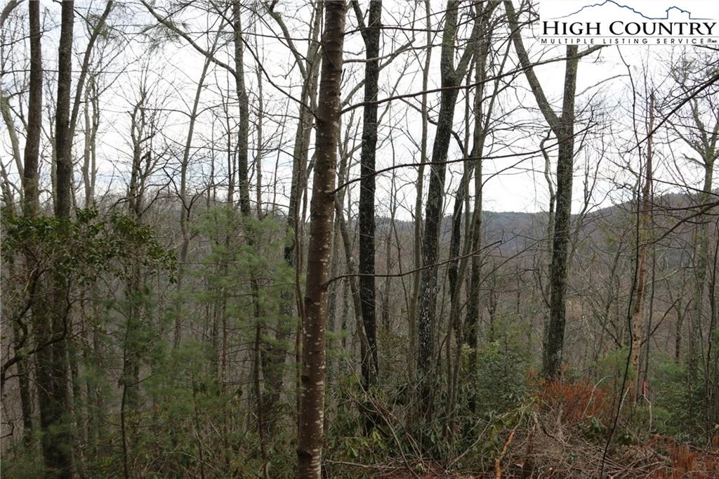 Image number 14 for the current listing