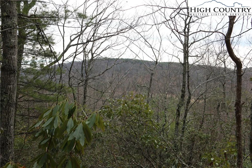 Image number 5 for the current listing