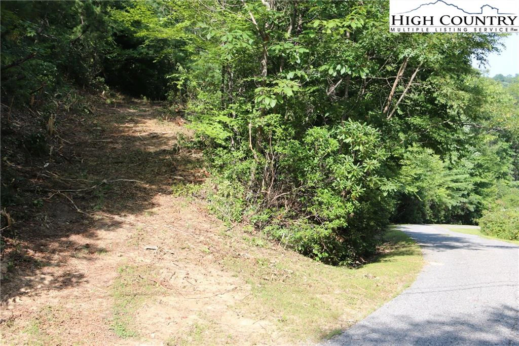 Image number 7 for the current listing