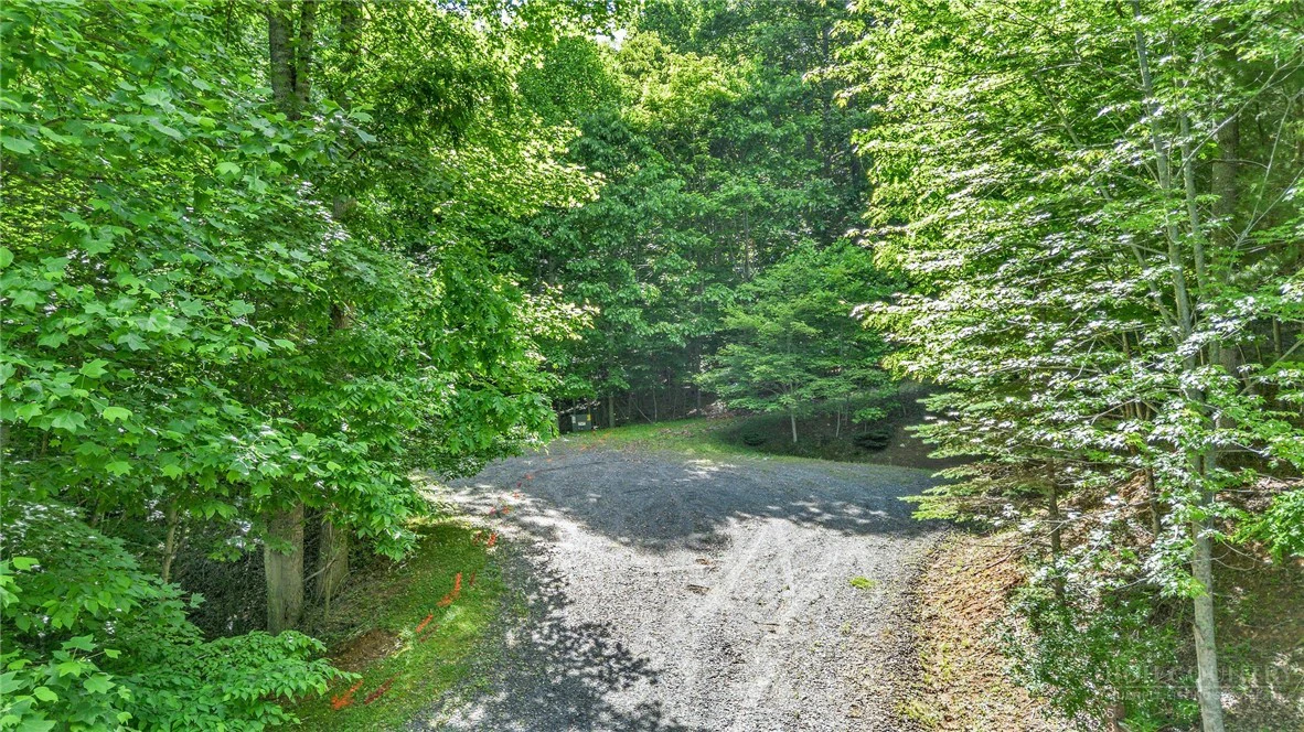 Image number 7 for the current listing