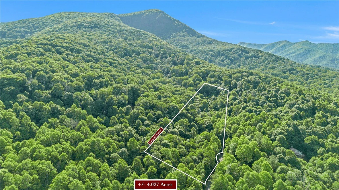Image number 4 for the current listing