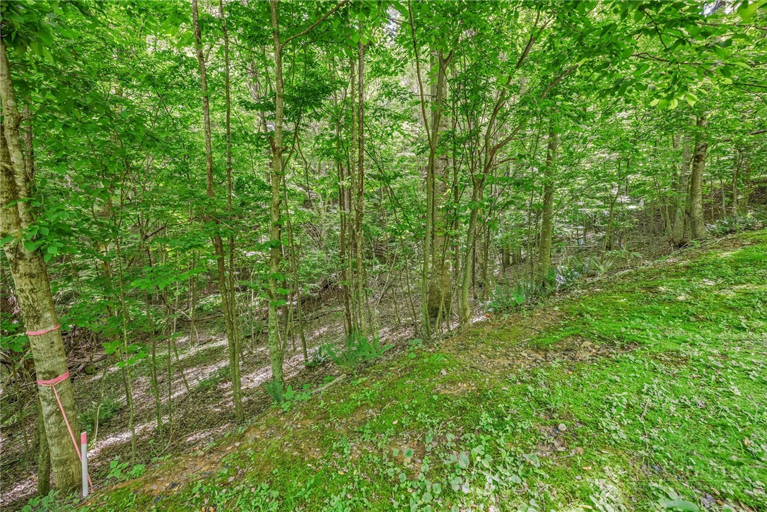 Image number 8 for the current listing