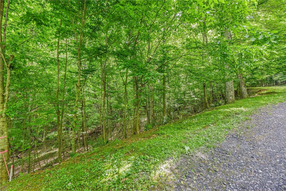 Image number 9 for the current listing
