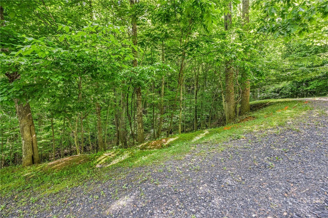 Image number 10 for the current listing