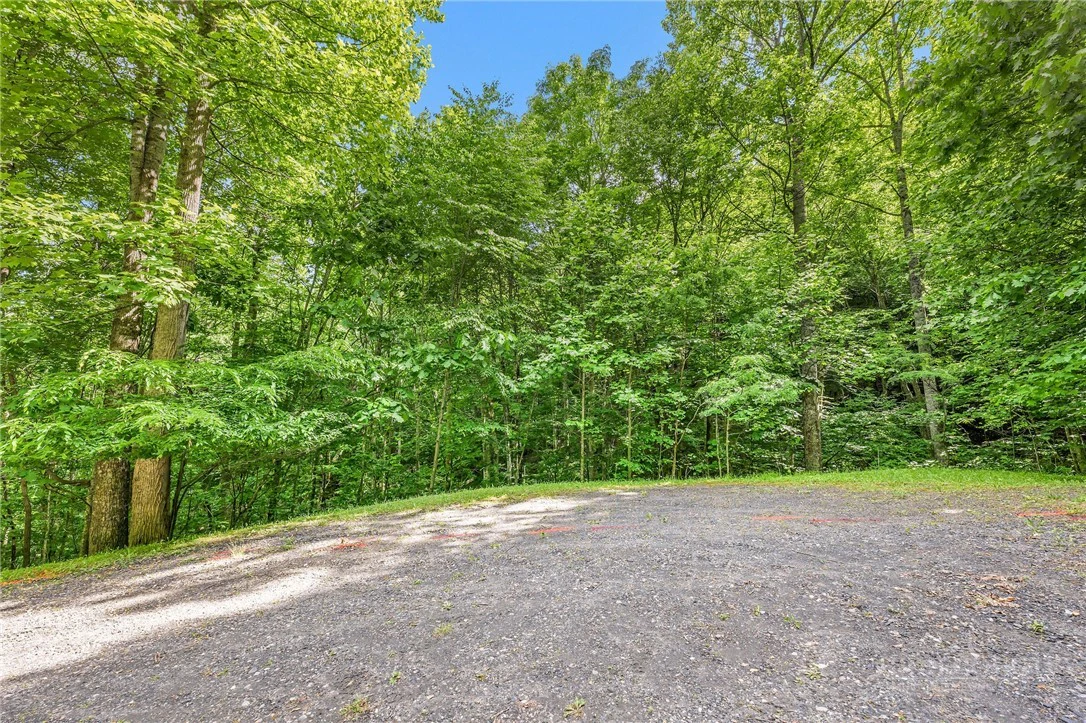 Image number 11 for the current listing