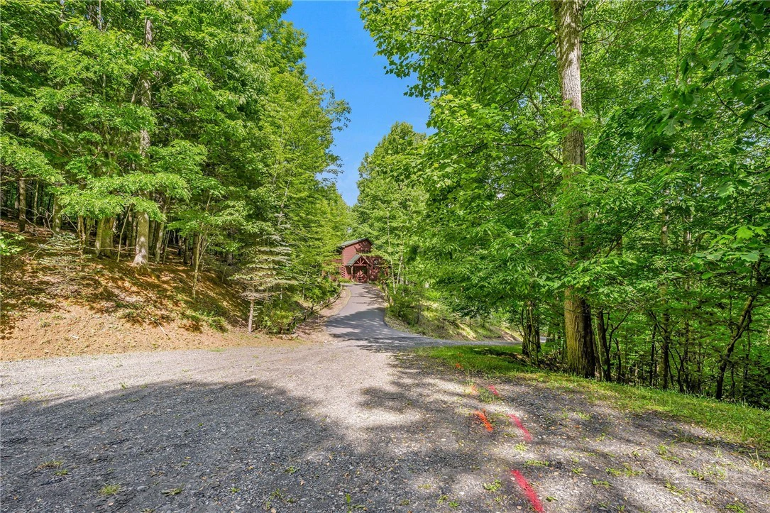 Image number 12 for the current listing