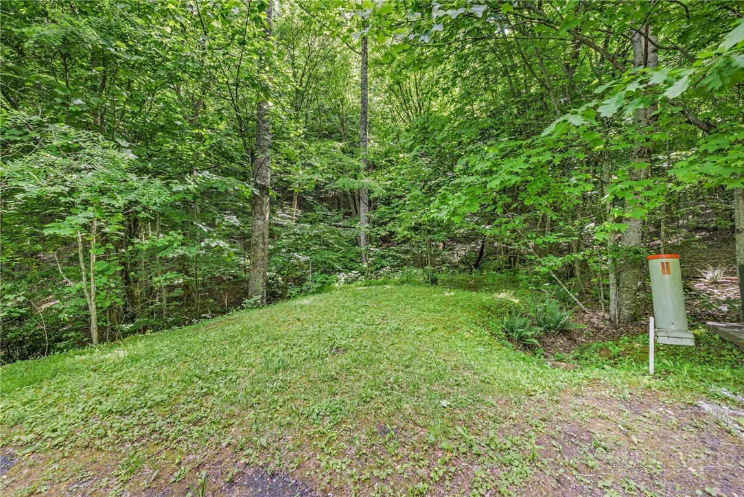 Image number 13 for the current listing