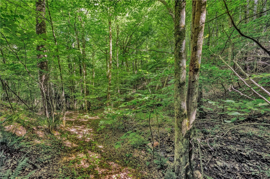 Image number 16 for the current listing
