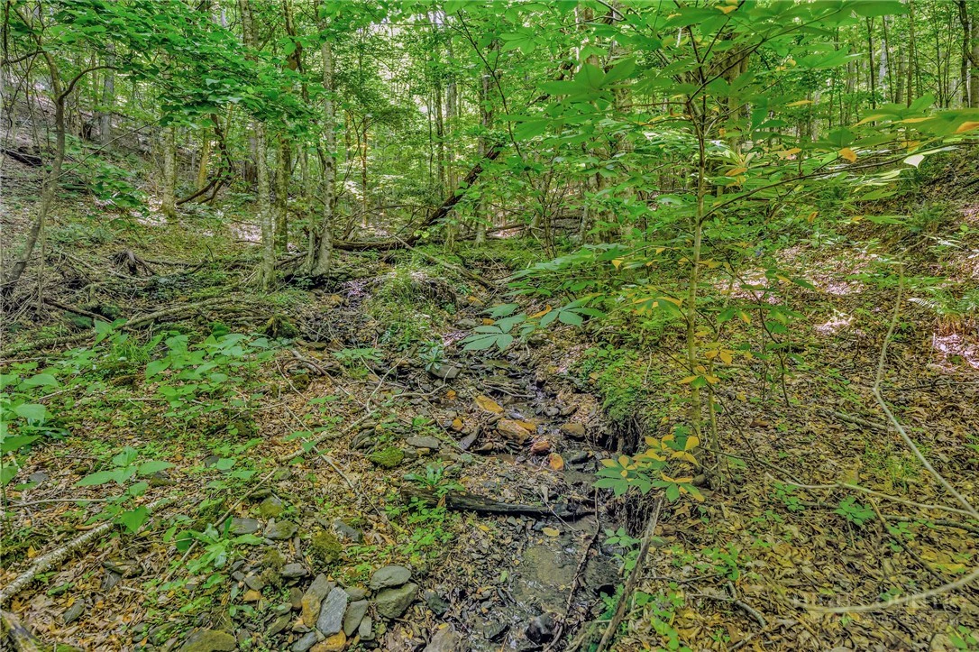 Image number 19 for the current listing