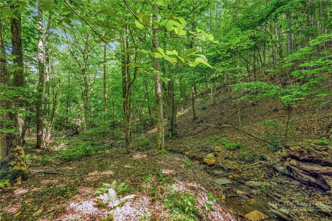 Image number 20 for the current listing