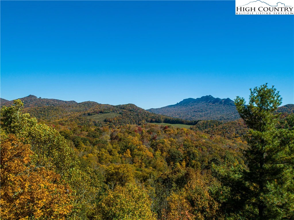 Image number 1 for the current listing