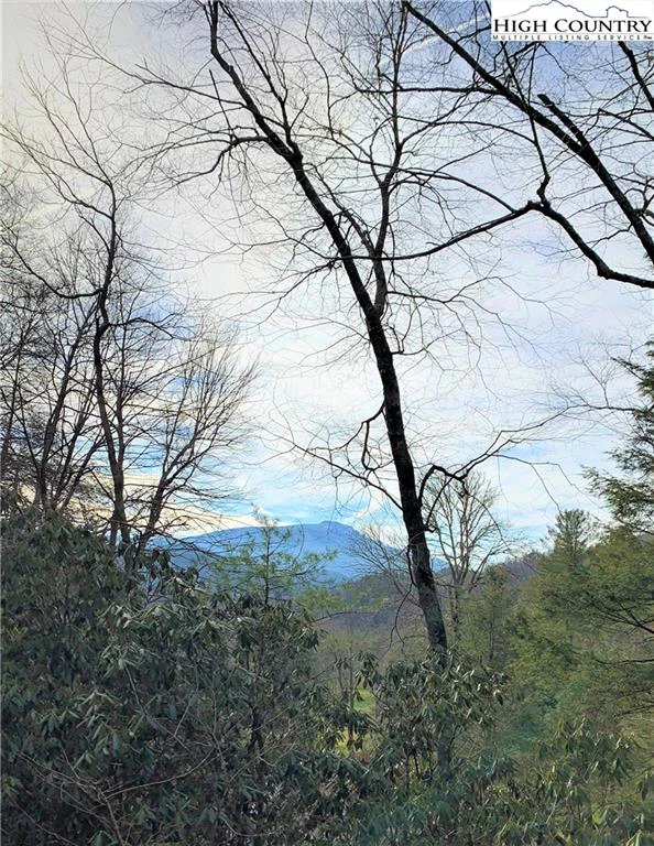 Image number 1 for the current listing