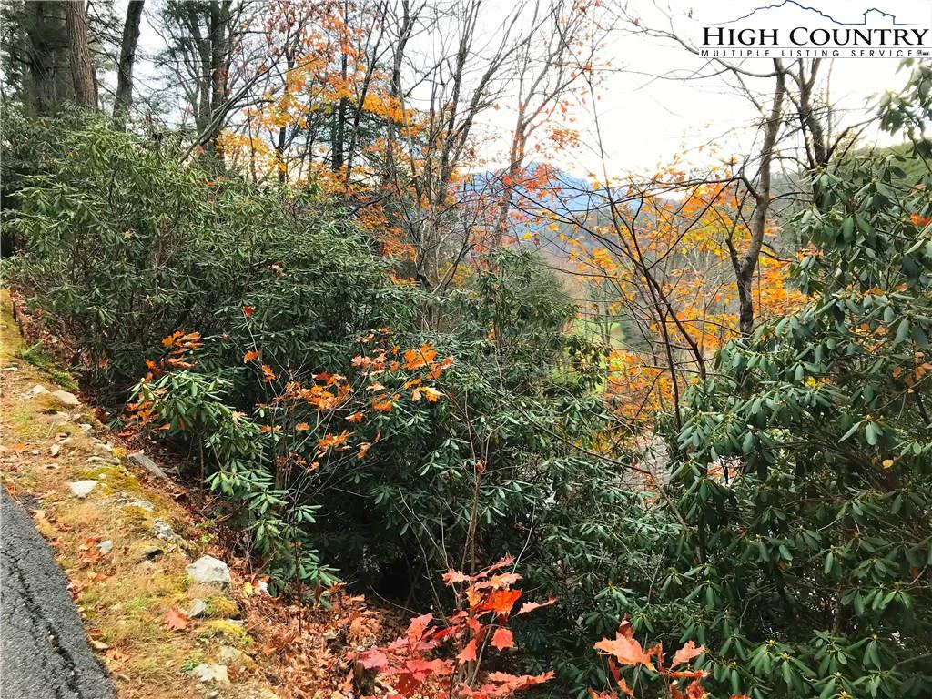 Image number 3 for the current listing