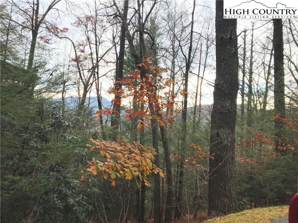 Image number 4 for the current listing