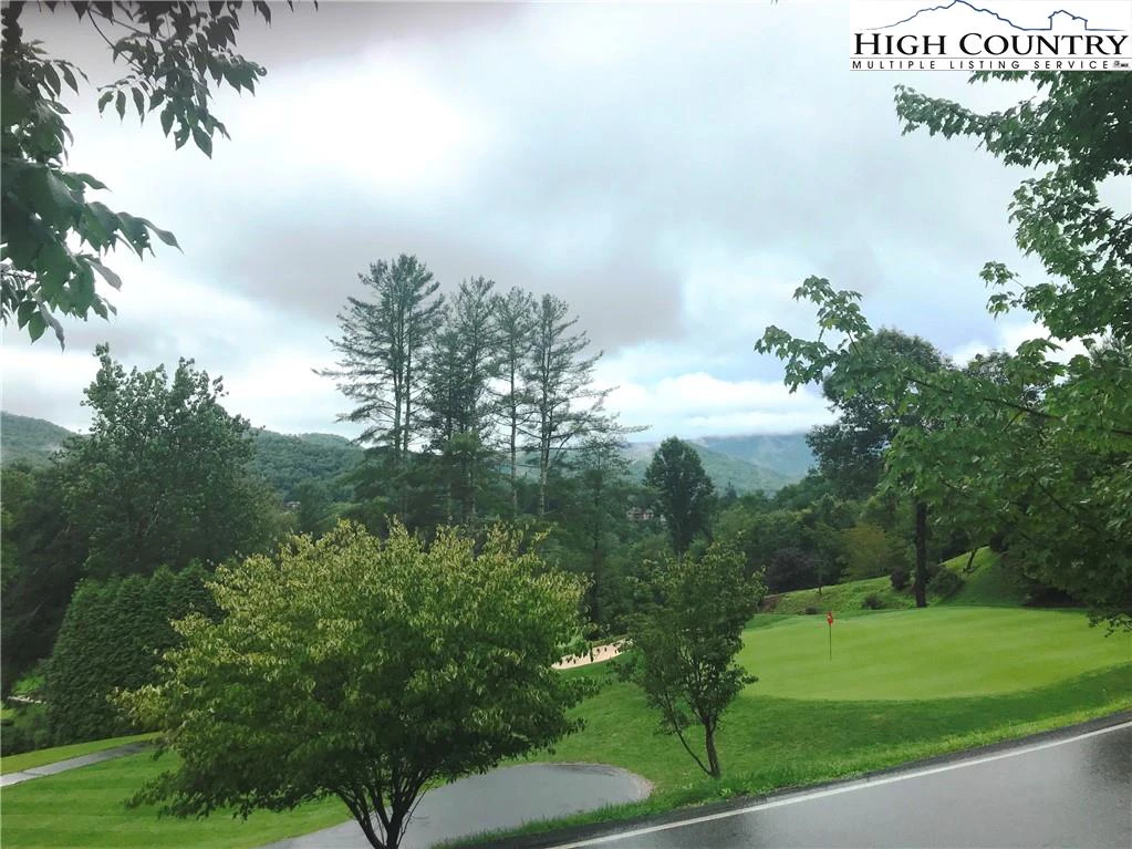Image number 5 for the current listing