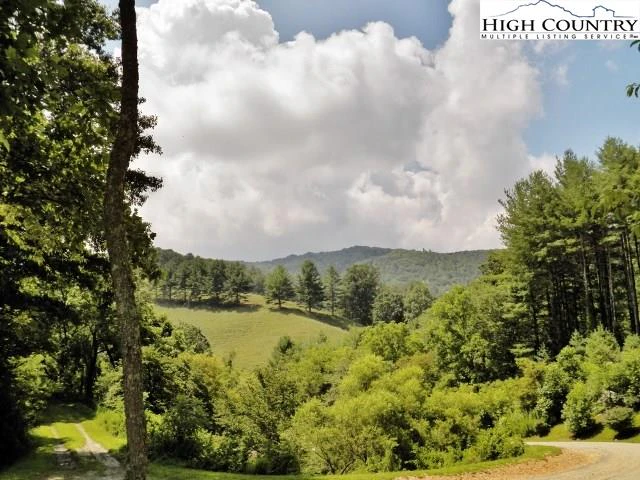 Image number 9 for the current listing