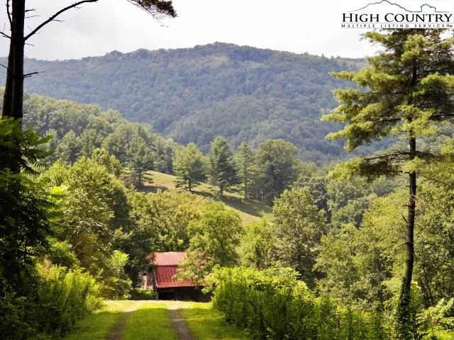 Image number 6 for the current listing