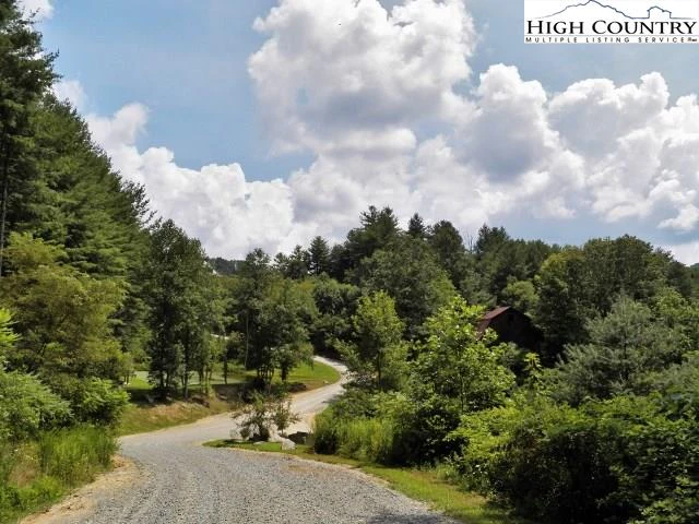 Image number 4 for the current listing