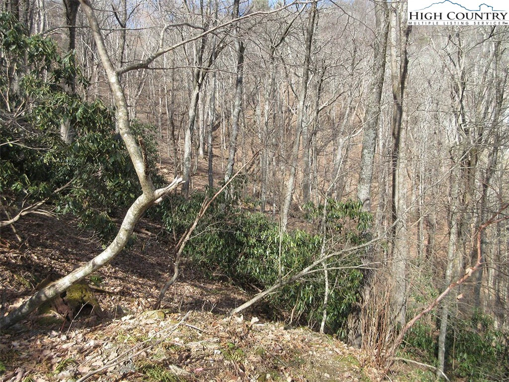 Image number 3 for the current listing