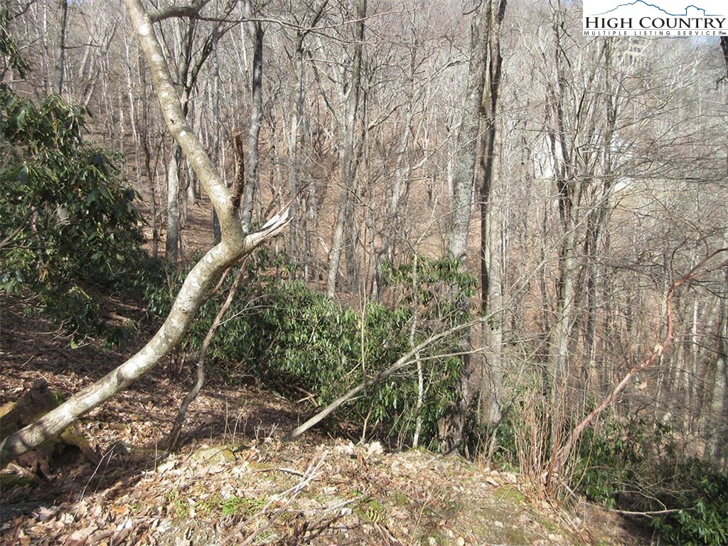 Image number 4 for the current listing