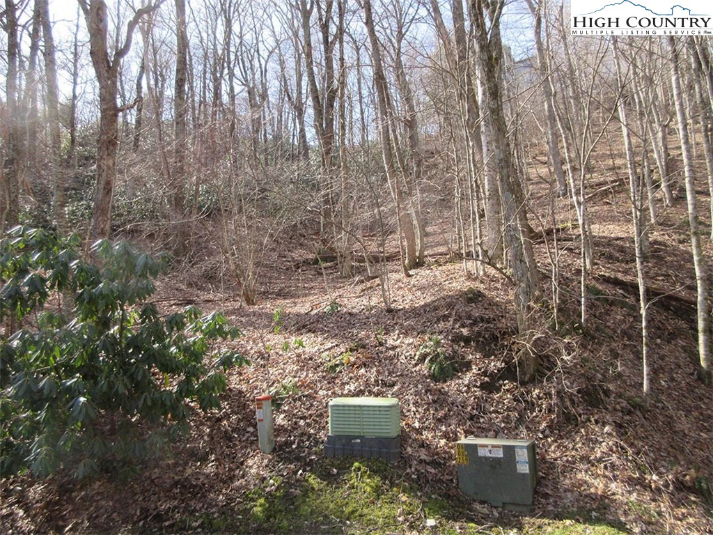 Image number 6 for the current listing