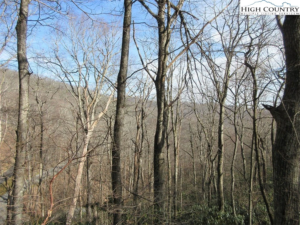 Image number 7 for the current listing