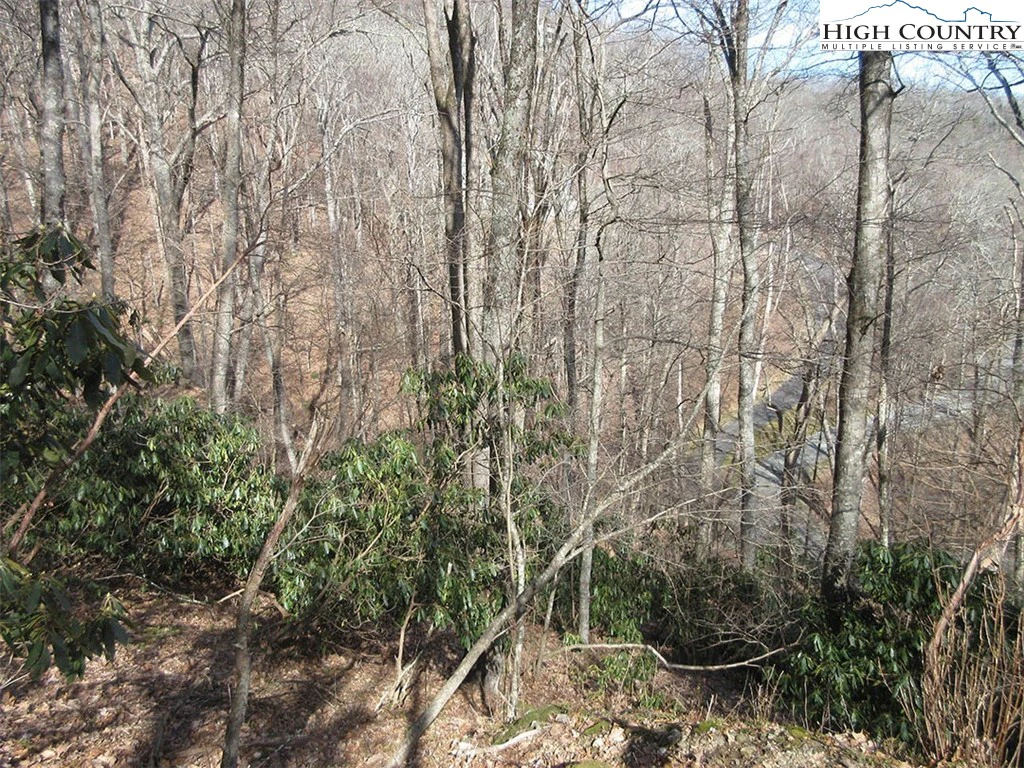 Image number 8 for the current listing