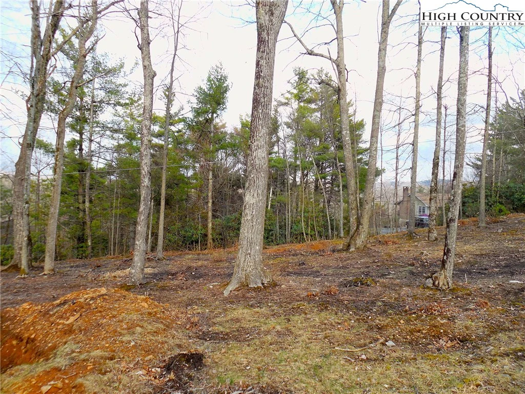 Image number 6 for the current listing