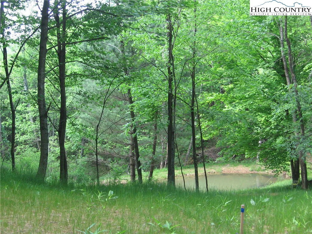 Image number 3 for the current listing