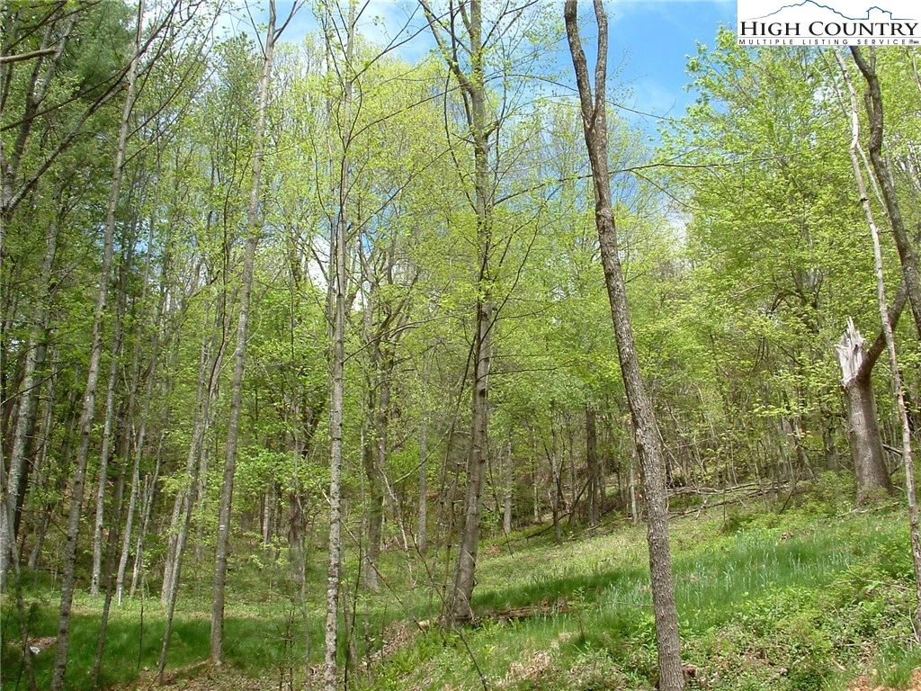 Image number 4 for the current listing