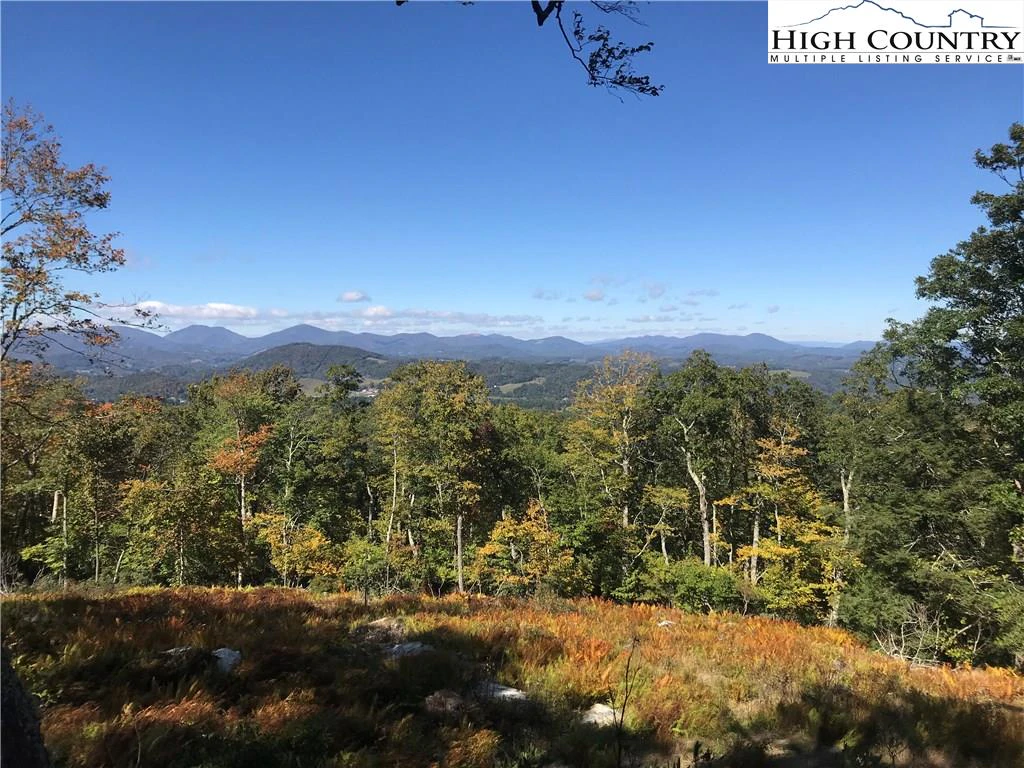 Image number 1 for the current listing