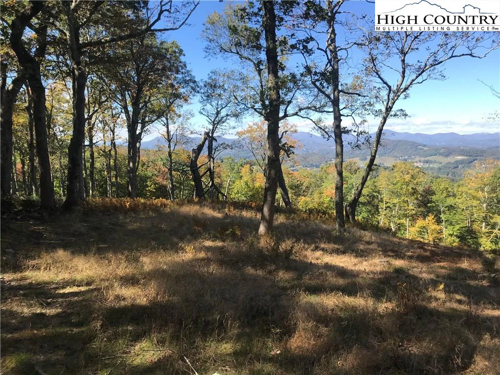 Image number 3 for the current listing