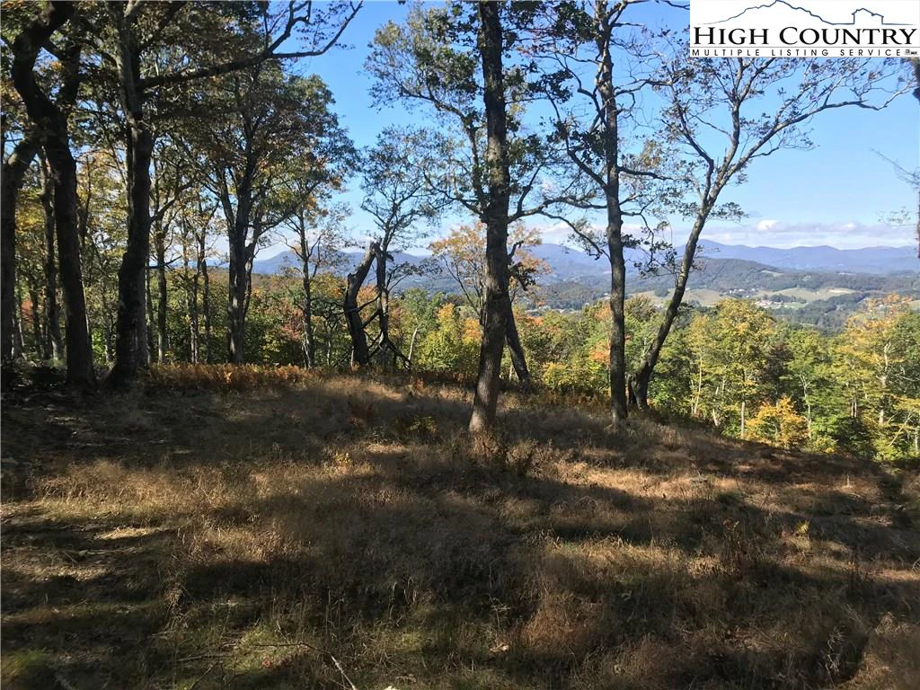 Image number 4 for the current listing