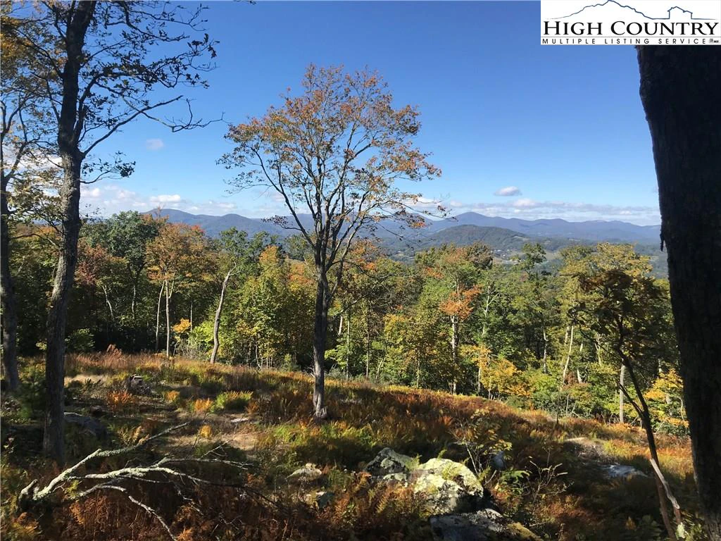 Image number 6 for the current listing