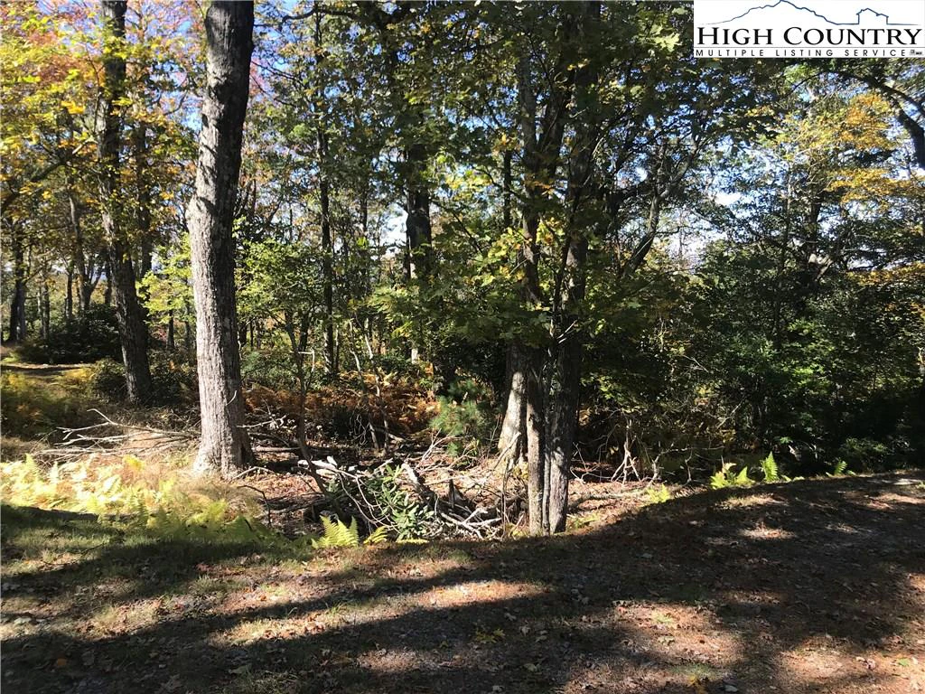 Image number 7 for the current listing