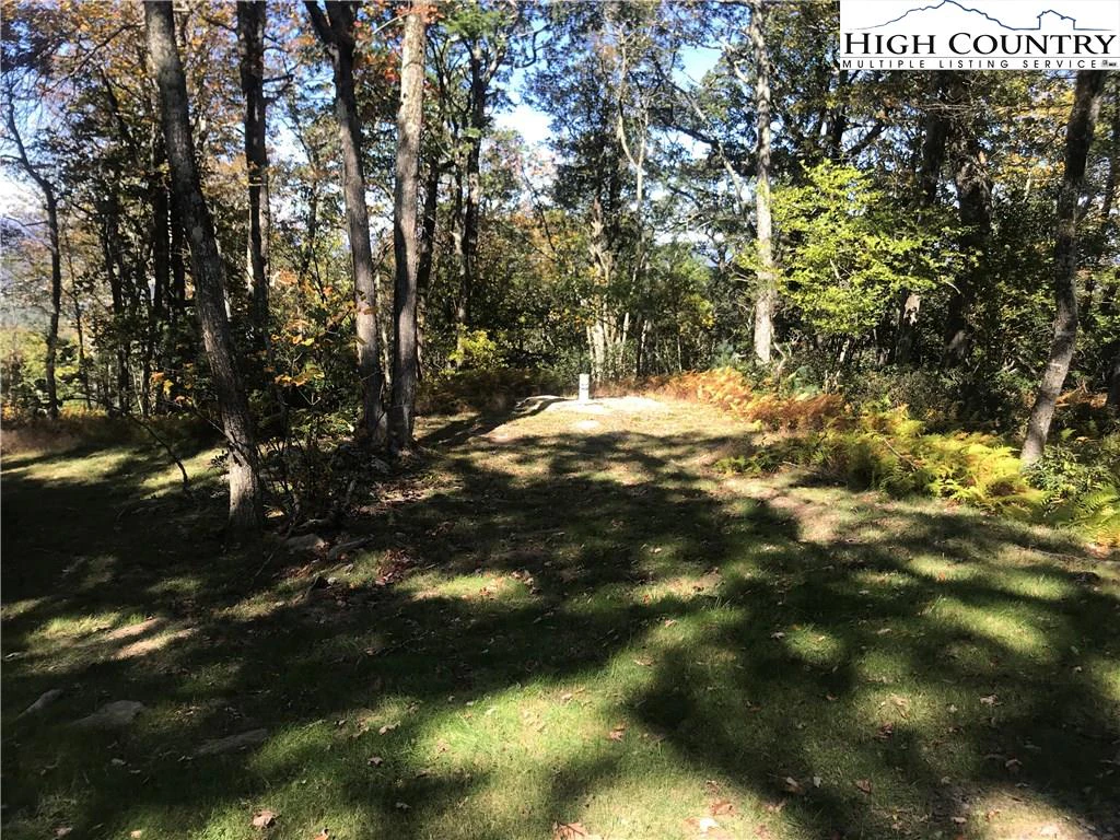 Image number 9 for the current listing
