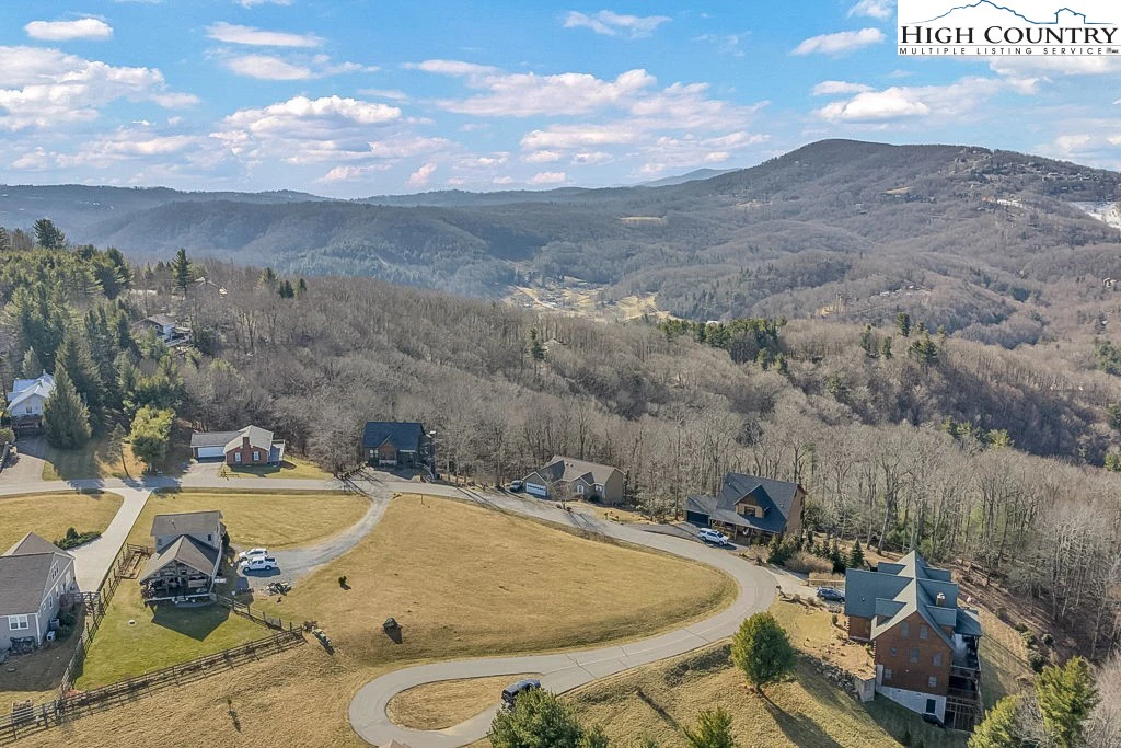 Image number 1 for the current listing