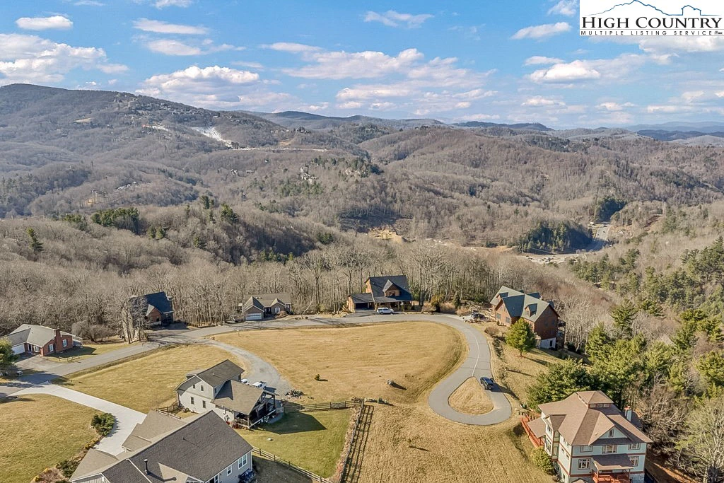 Image number 12 for the current listing