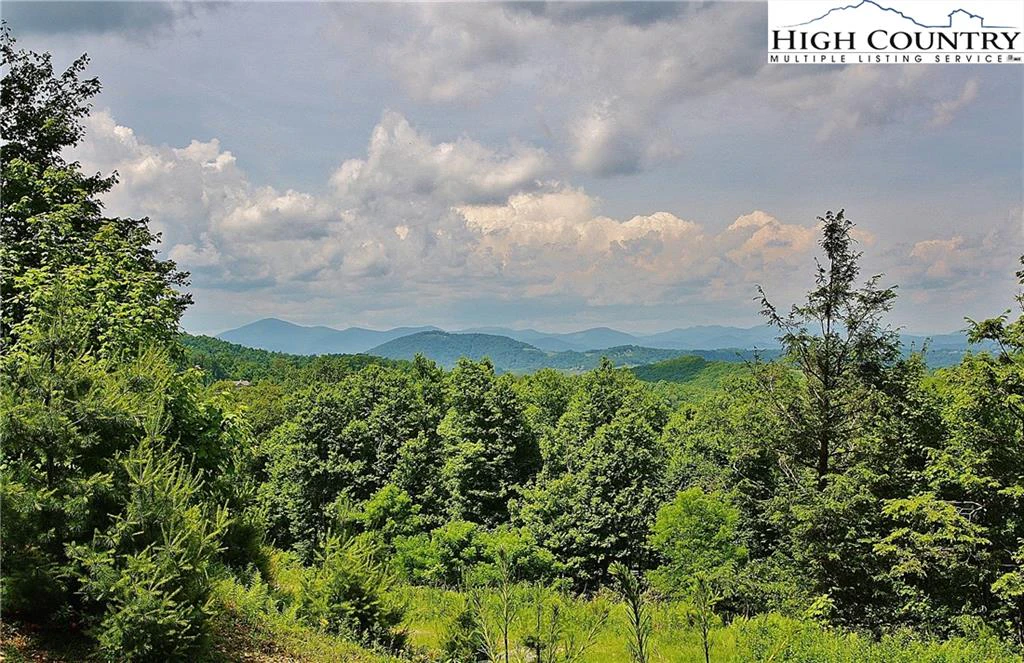 Image number 1 for the current listing