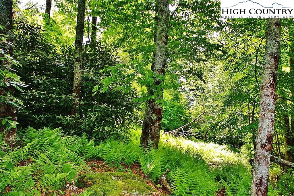 Image number 19 for the current listing