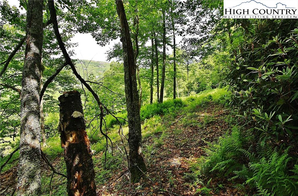 Image number 18 for the current listing