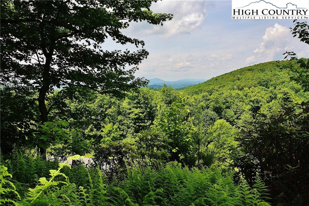 Image number 17 for the current listing