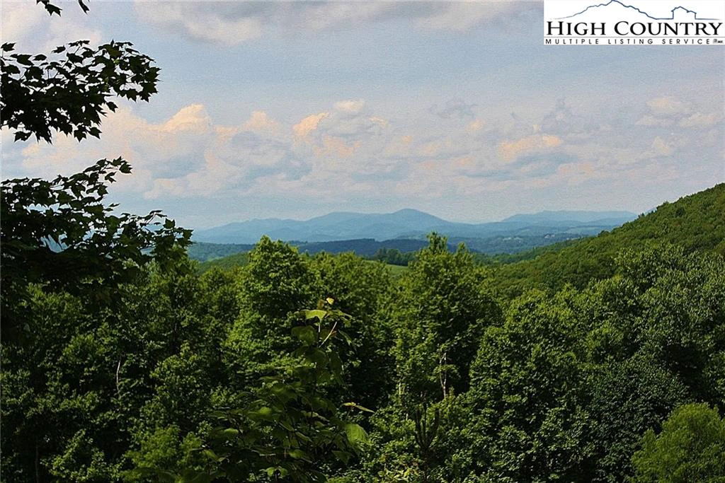 Image number 2 for the current listing