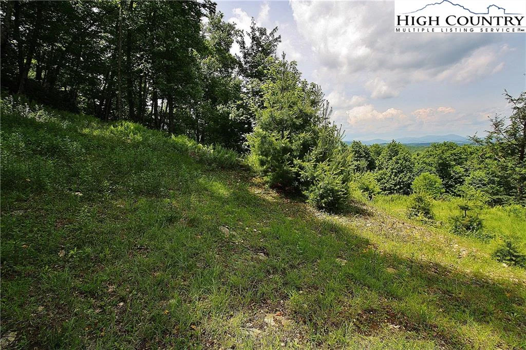 Image number 14 for the current listing