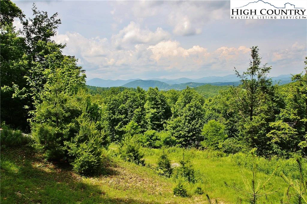 Image number 13 for the current listing